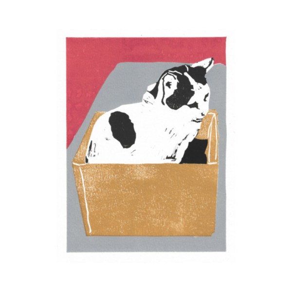 Cat In A Box (2026) Limited Edition Original Print